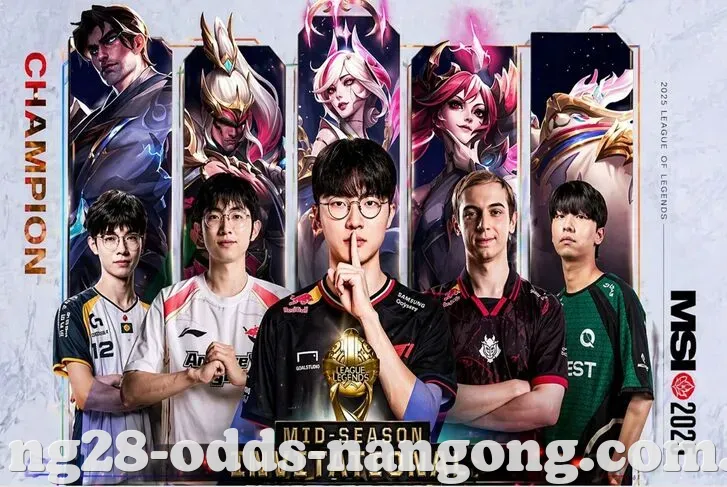 NG28 新闻资讯